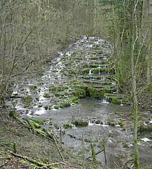 Kalksinterstufen der Lillach bei Weißenohe (Fränkische Schweiz)