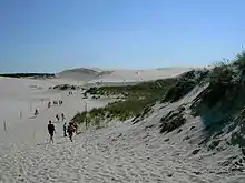 Dünen im Slowinzischen Nationalpark bei Łeba (Westpommern)