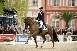 Das Foto zeigt Sönke Rothenberger, er reitet den Dunkelfuchswallach Favourit in einer Dressurprüfung. Im Hintergrund sind Scheinwerfer, das Publikum sowie Teile der Fassade des Schlosses Biebrich zu sehen.