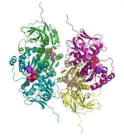 Sorbitdehydrogenase