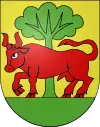 Wappen von Souboz