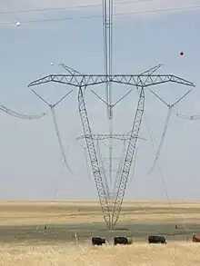 Sechser-Bündelleiter mit einer Betriebsspannung von 765 kV. Betreiber Eskom in Südafrika