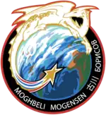 Logo von SpaceX Crew-7