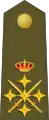 Generalkapitän des Heeres