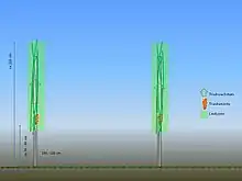 Schematische Darstellung der Spalier­erziehung.