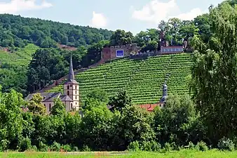 Klingenberg am Main,Lage: Schlossberg