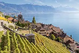 Saint-Saphorin (Lavaux)