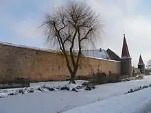 Stadtmauer