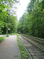 Die ehemalige Waldbahnstrecke nach Neu-Isenburg, heutige Straßenbahnlinie 17