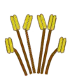 Tetradynamisch (tetradynamous)