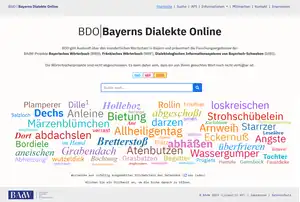 In diesem Bild ist die Startseite von BDO zu sehen: Unter einem einzelnen Eingabefeld für die Sucheingabe befindet sich eine bunt zusammengestellte Wortwolke, die verschiedene Stichwörter enthält.