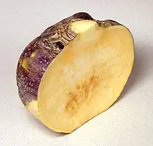 Steckrübe (Bodenkohlrabi)