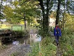 Wanderweg quert die Hönnige