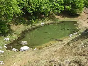 Der Steinbergsee