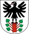 Wappen von Steinen