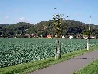 Stempeda am Alten Stolberg