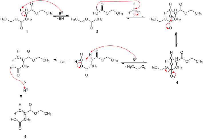 Mechanismus der Stobbe-Kondensation