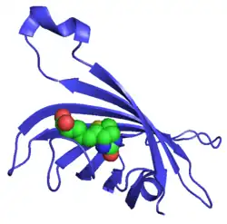 Streptavidin (Streptomyces avidinii)