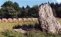 Menhir von Roquinarc’h