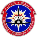 Logo von STS-29