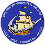 Logo von STS-49