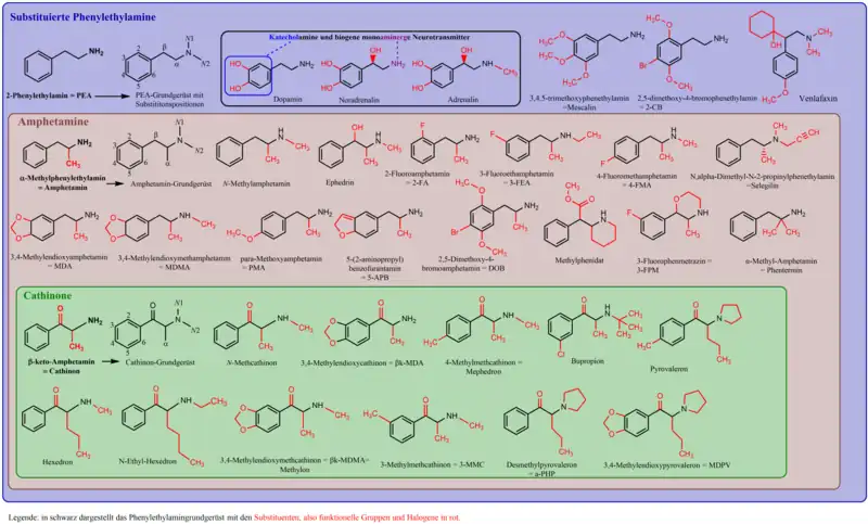 Substituierte Phenylethylamine und deren Untergruppen