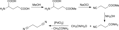 Succinonitril mehrstufig aus L-Glu