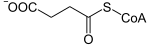 Succinyl-CoA