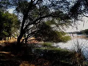 Landschaft im Sultanpur-Nationalpark