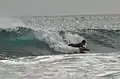 Surfer am Strand von Sausset-les-Pins