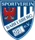 SV Babelsberg 03 (1996–2003)