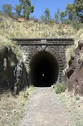 Swan View Tunnel von 1895 im Park