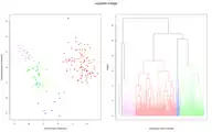 Daten und Dendrogramm für das Complete-linkage-Verfahren.