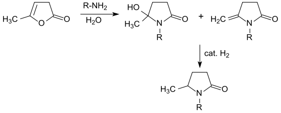 Synthese von 5-Methyl-N-alkyl-pyrrolidonen aus α-Angelicalacton