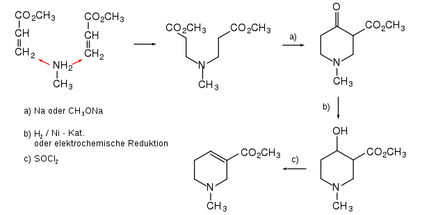 Formelschema der Synthese von Arecolin nach Preobraschenskii