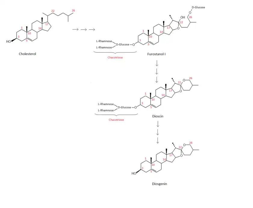 Die Abbildung stellt eine Synthesemöglichkeit von Diosgenin ausgehend vom Cholesterol dar.