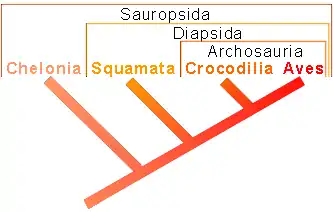 Phylogenetisches System der Sauropsida (Version 1)