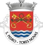 Wappen von São Pedro