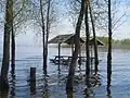 Überschwemmte Tische am See