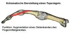 Einzelner Tapezügel