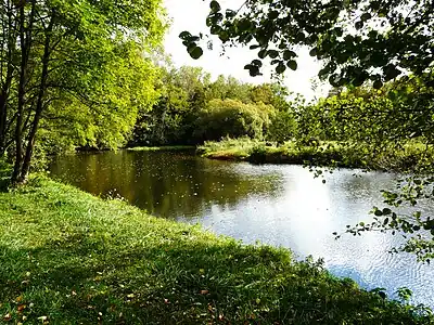 Die Tardoire oberhalb vom Moulin Chabrot