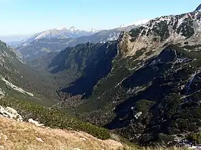 Dolina Roztoki vom Bergpass Krzyżne