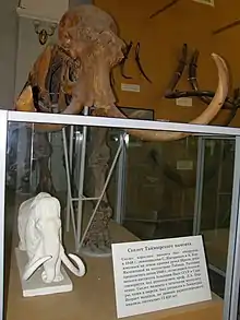 Zu sehen ist eine kleine Kopie des riesigen Mammut. Im Hintergrund ist der Aufbau des Mammuts in Originalgröße abgebildet.