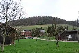 Blick auf die Weinberge