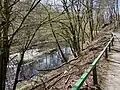 Teich beim Jagenbergshammer am Lobach