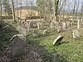 Jüdischer Friedhof bei Telice (Dölitschen)