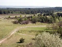 Zaunverlauf des Wildpferdegeheges