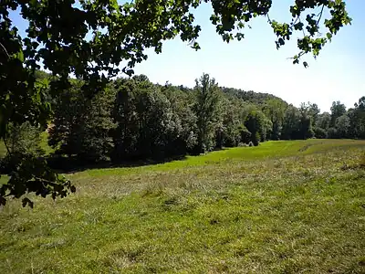 Die Marcourive etwas oberhalb von Teyjat