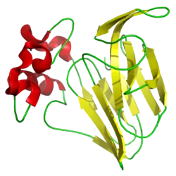 Thaumatin-I (Thaumatococcus danielli)