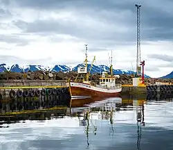 Whale-Watching von Hauganes aus